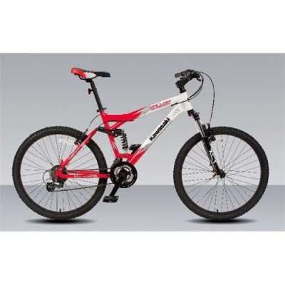 Kawasaki Valley 26''